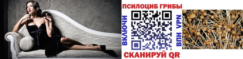 даркнет клад  Райчихинск  Псилоцибиновые грибы Psilocybe 