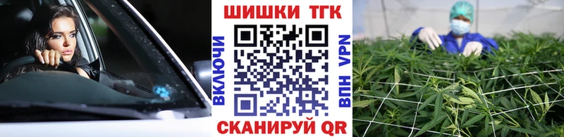 Марихуана сатива  наркотики  Райчихинск 